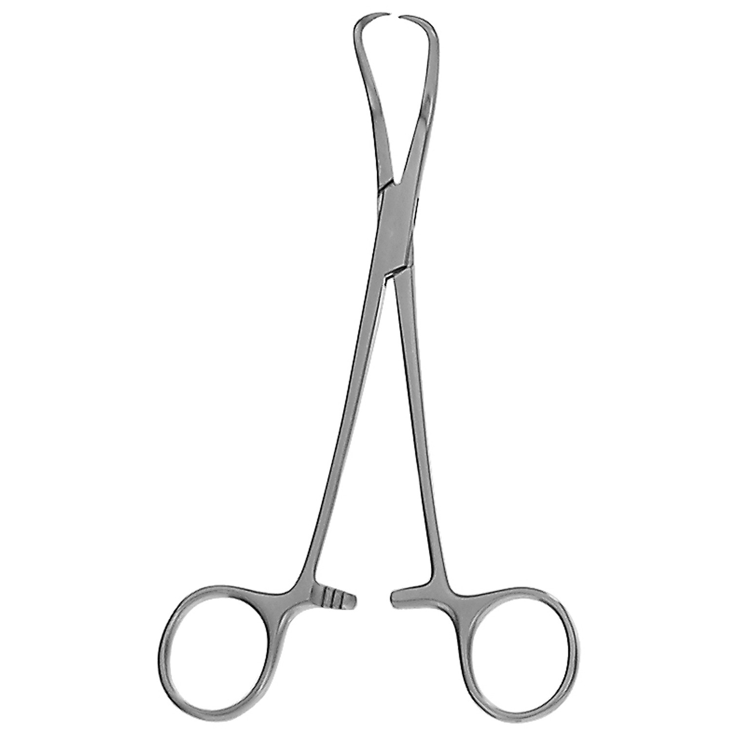 Glenoid Perforating Forceps, Pointed Tips, 6 1/2" (16.5 Cm), Slightly Curved